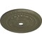 Ekena Millwork Palmetto Ceiling Medallion (Canopies up to 7 5/8"), 31 1/2"OD x 3 5/8"ID x 1 3/4"P, Painted Turtle CM31PMPTF - alternate 3